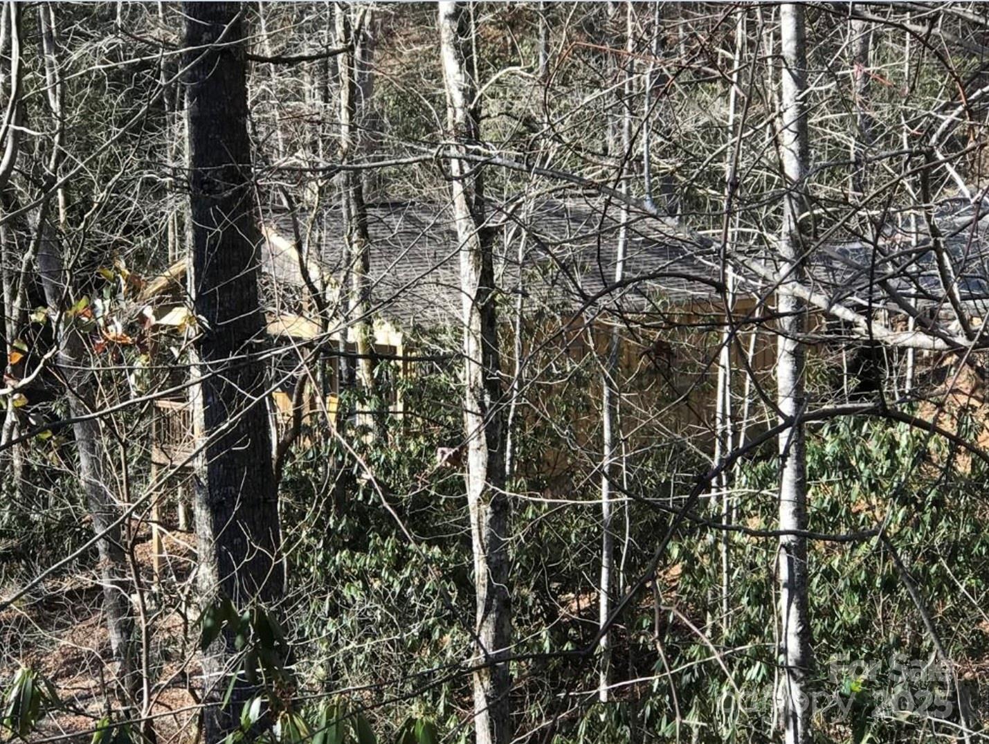 0 Saturn Way Topton, NC 28781 - Photo 15 of 25