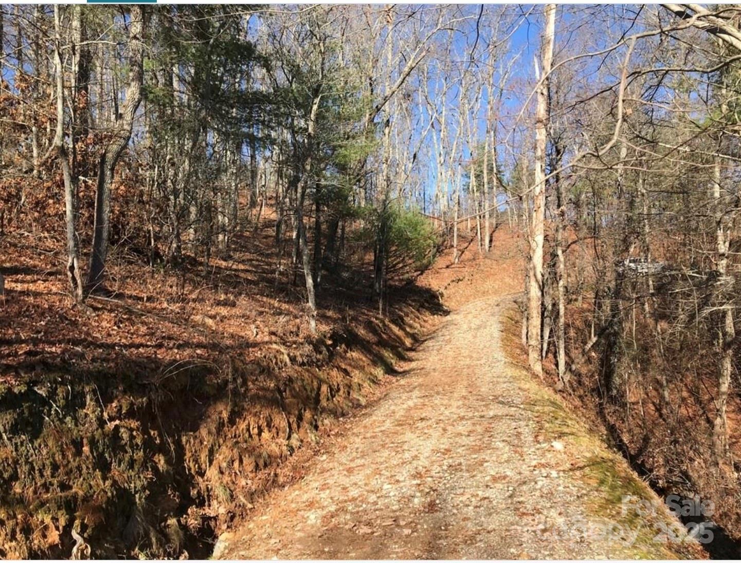 0 Saturn Way Topton, NC 28781 - Photo 2 of 25 a view of a yard with trees