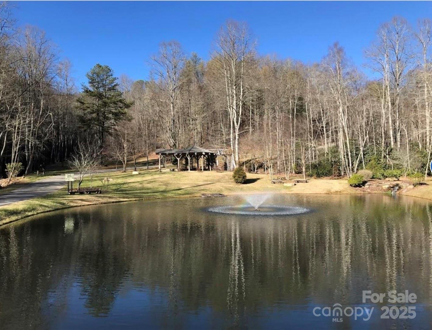 0 Saturn Way Topton, NC 28781 - Photo 22 of 25 a view of water with trees