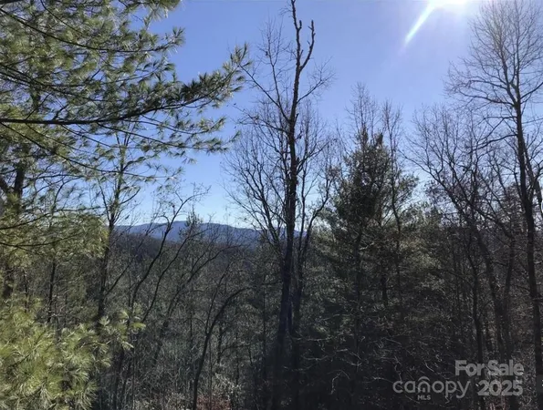 $85,000 | 0 Saturn Way, Topton, NC 28781