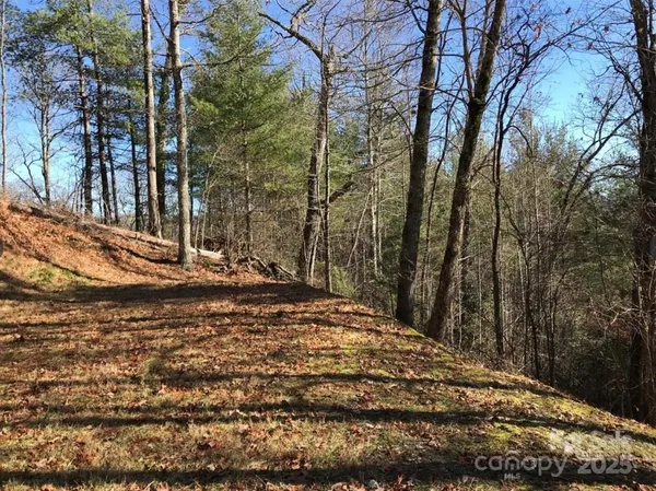 a view of a backyard of the house