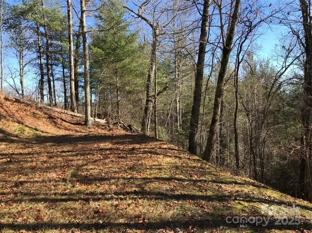 a view of a backyard of the house