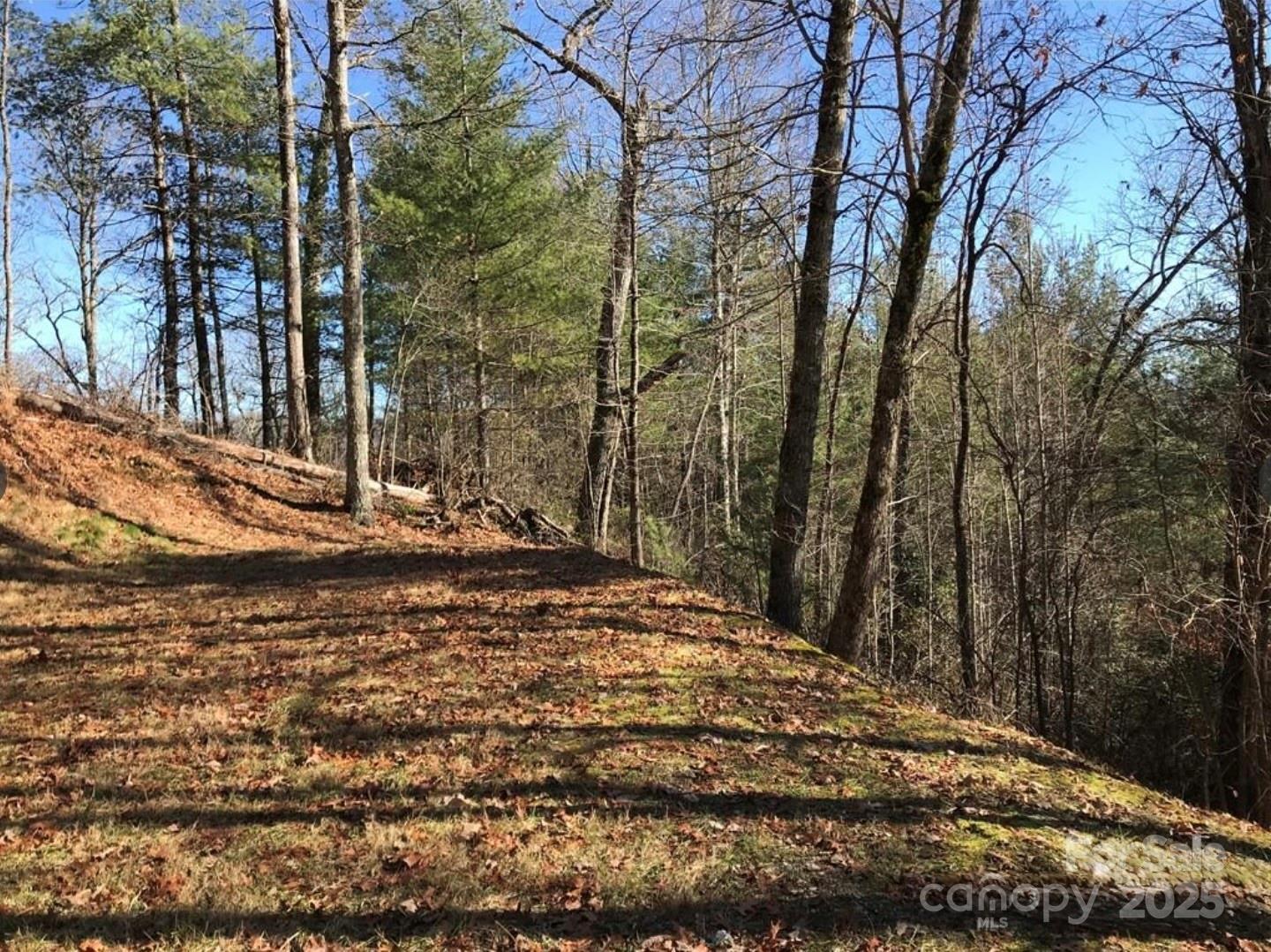 0 Saturn Way Topton, NC 28781 - Photo 4 of 25 a view of a yard with plants and trees