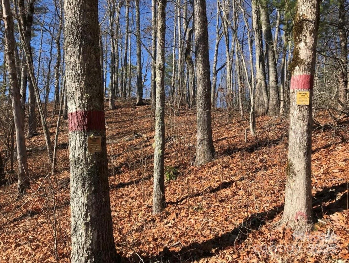 0 Saturn Way Topton, NC 28781 - Photo 5 of 25 a view of a backyard of the house