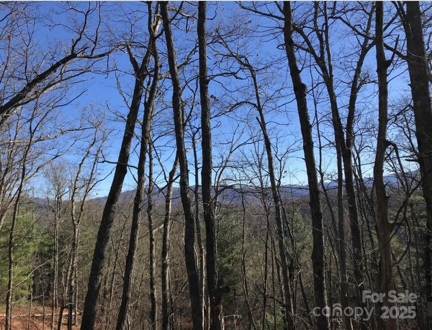 0 Saturn Way Topton, NC 28781 - Photo 6 of 25