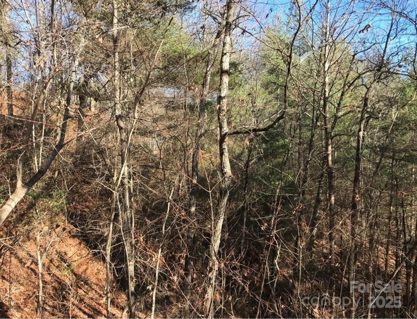 0 Saturn Way Topton, NC 28781 - Photo 7 of 25 a view of a yard