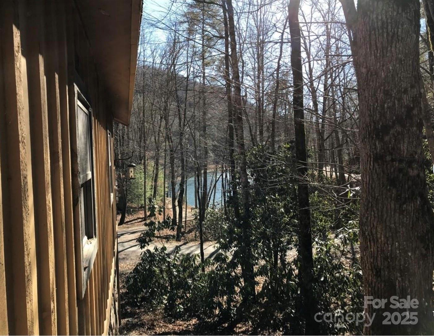 0 Saturn Way Topton, NC 28781 - Photo 10 of 25