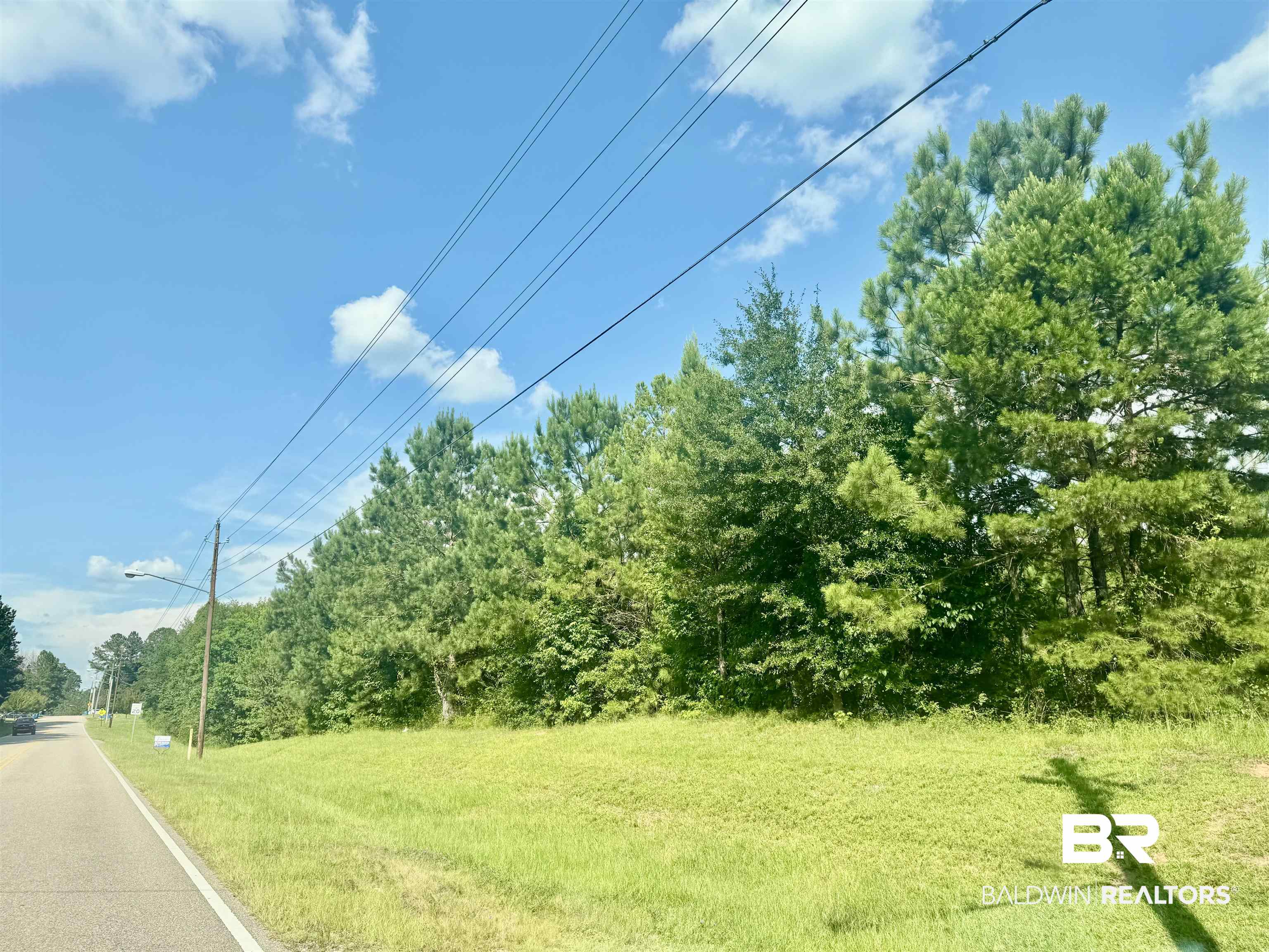 Wild Avenue Evergreen, AL 36401 - Photo 4 of 4