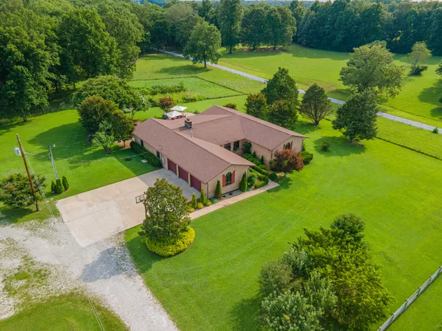 a view of a garden with lawn chairs and a large tree