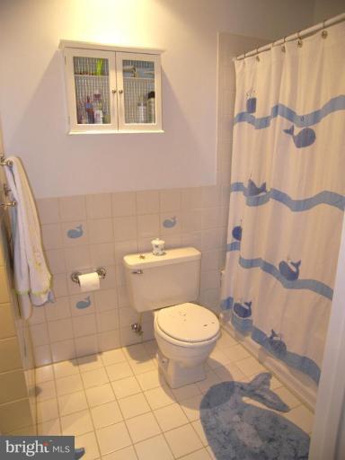 11 Blueberry Ridge Court Potomac, MD 20854 - Photo 14 of 27 Bath #2