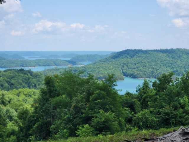 0 Rock Fish Road East Celina, TN 38551 - Photo 2 of 27