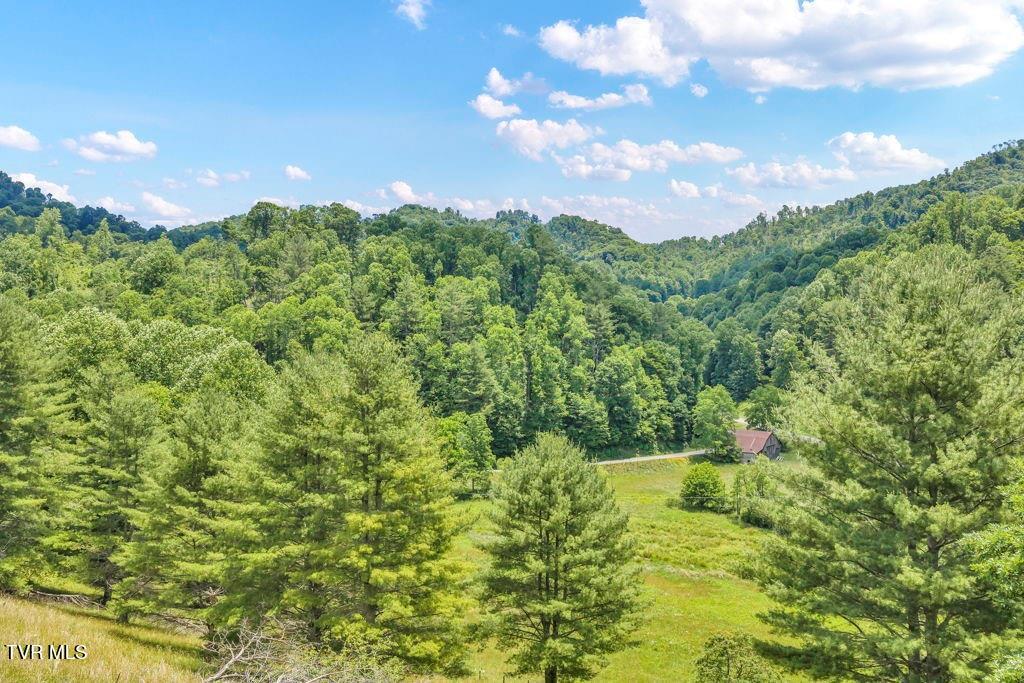 150 Fred Price Road Mountain City, TN 37683 - Photo 16 of 35 18