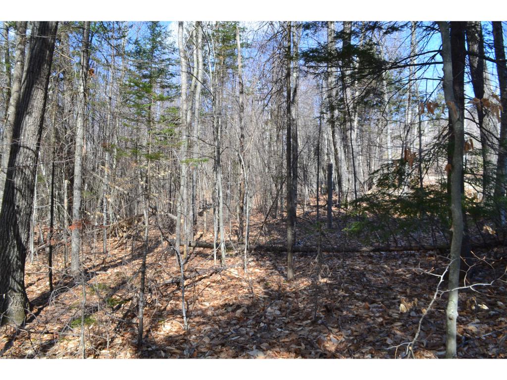 292 King Rd Hill Hill, NH 03243 - Photo 12 of 16 Gallery Image 12