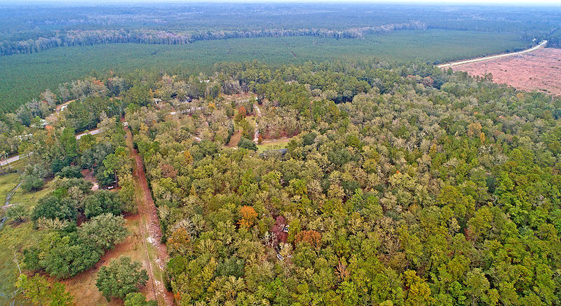 7630 Sidneys Road Round O, SC 29474 - Photo 12 of 64 DJI_0008