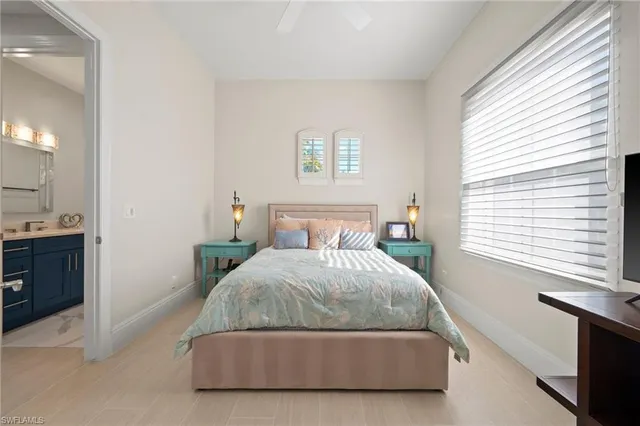 a view of a garden with palm trees