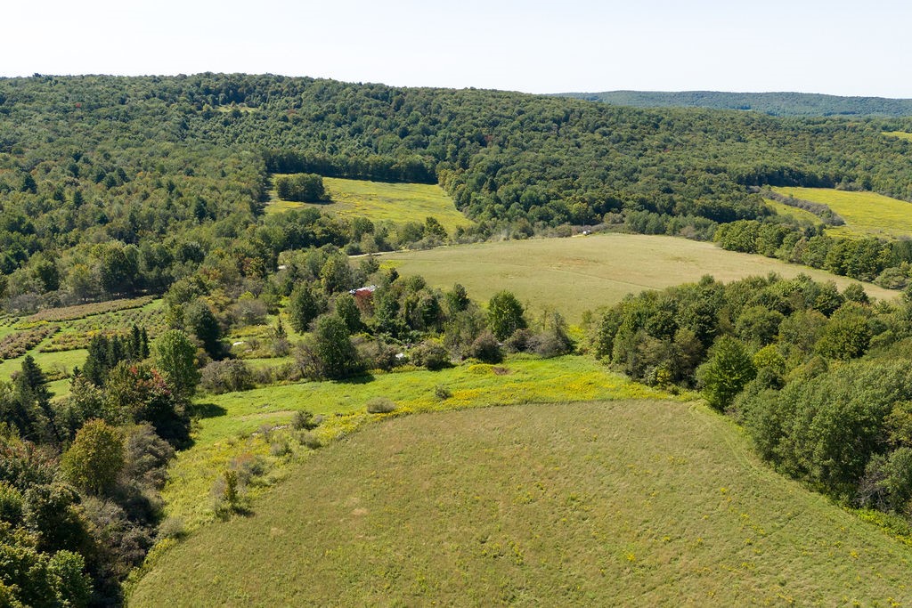 Lot 11 Warren Road Treadwell, NY 13846 - Photo 8 of 10