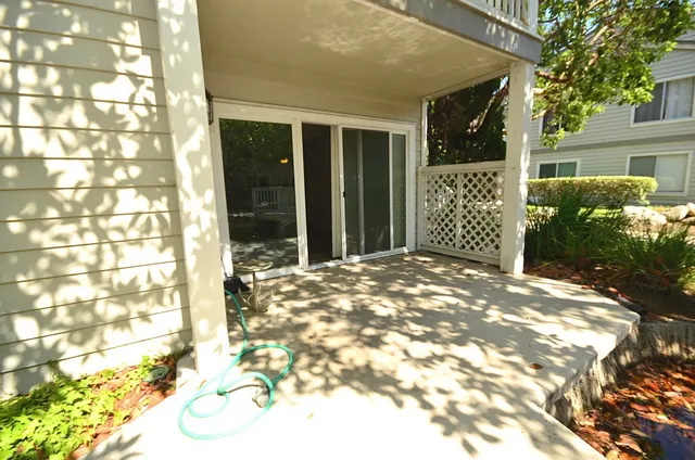 a view of a large tree front of house