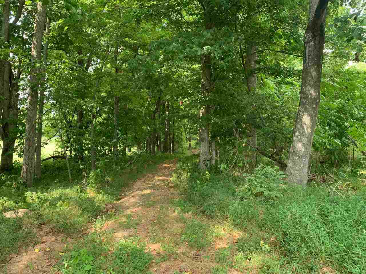 Ac Defries Road Canmer, KY 42722 - Photo 11 of 17 Gallery Image 11