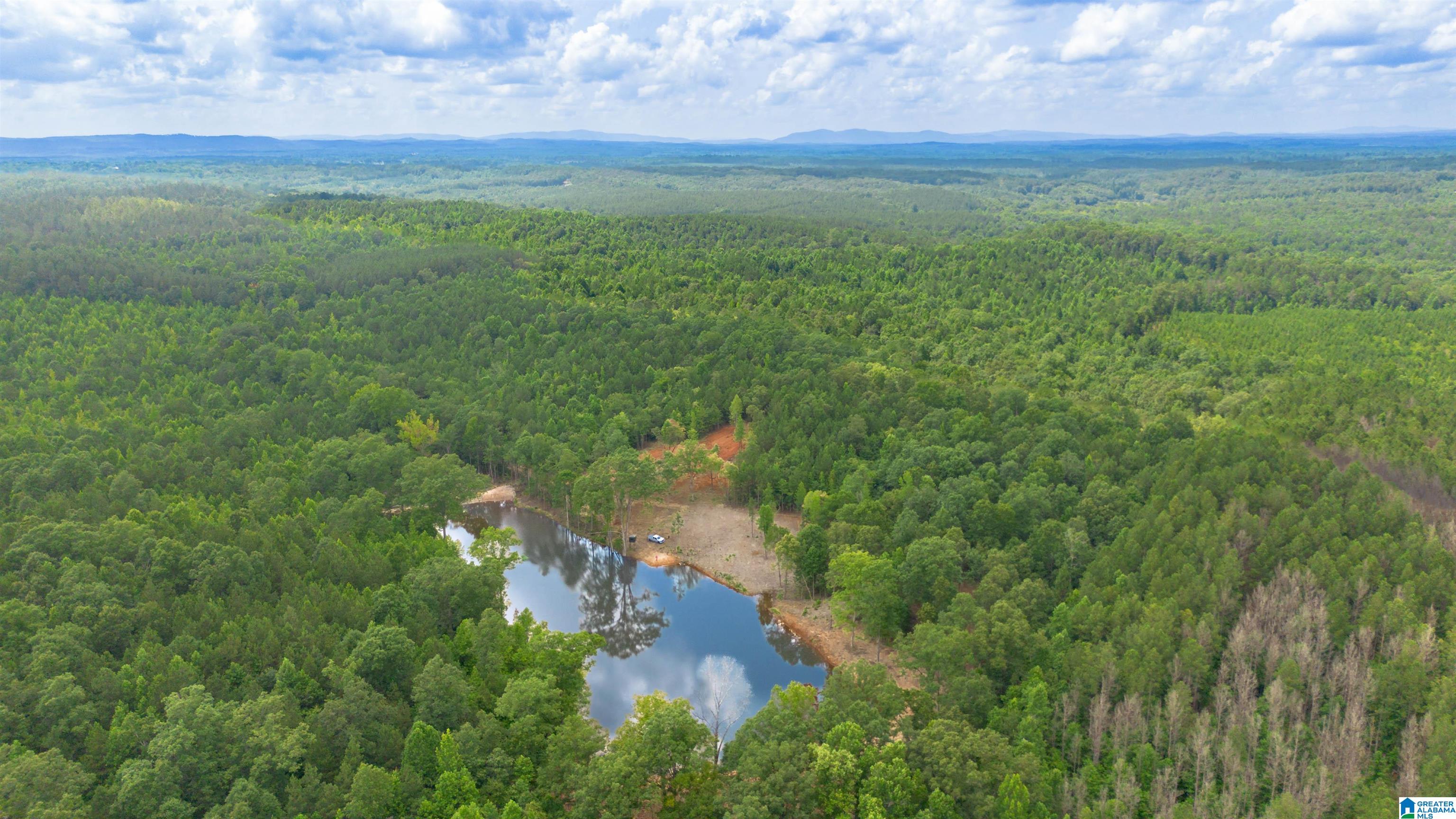 Vineyard Road, Unit 1 2 4 5 6 Fruithurst, AL 36262 - Photo 13 of 19