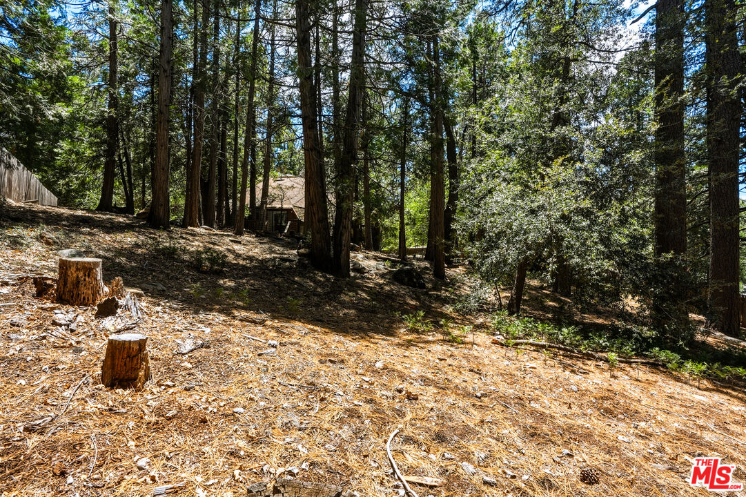 55000 Daryll Road Idyllwild, CA 92549 - Photo 59 of 60
