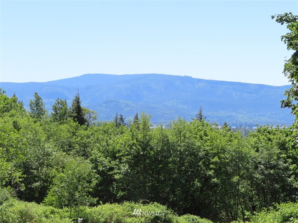 17 Maple Ridge Road Cathlamet, WA 98612 - Photo 2 of 14 Gallery Image 2