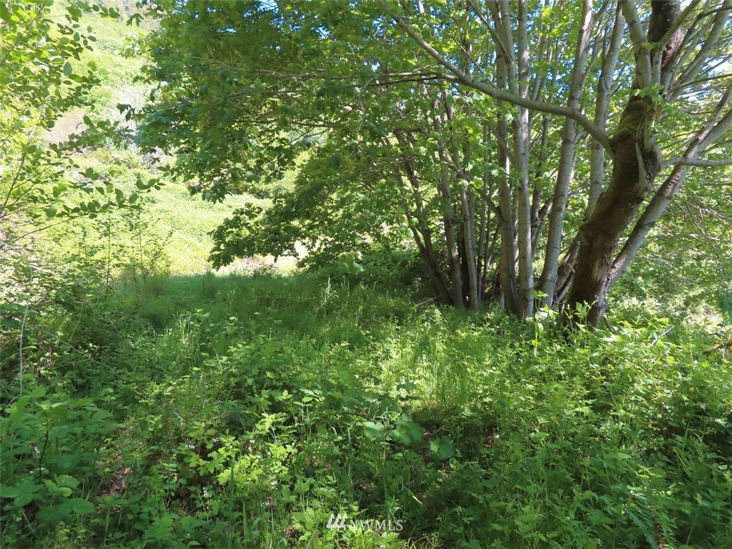 17 Maple Ridge Road Cathlamet, WA 98612 - Photo 7 of 14 Gallery Image 7