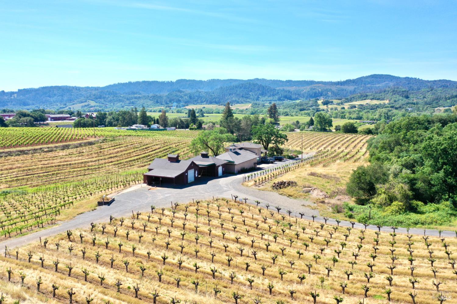 5143 Dry Creek Road Healdsburg, CA 95448 - Photo 13 of 85 a view of a terrace with a garden and mountains