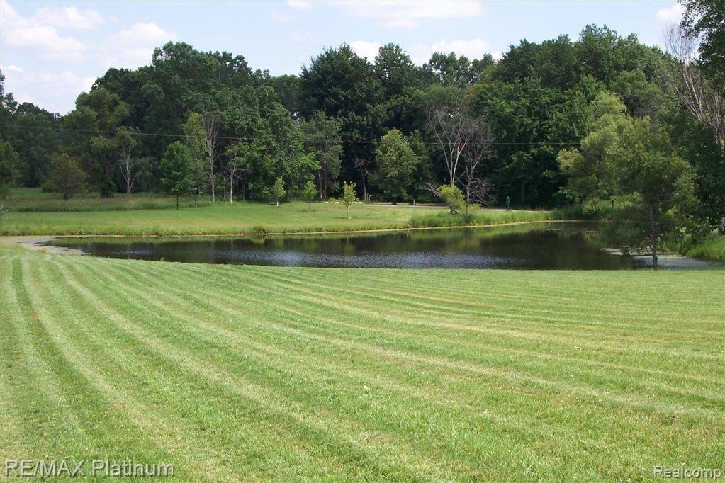 1201 Argentine Road Howell, MI 48843 - Photo 3 of 12 Argentine with Woods and Pon.JPG