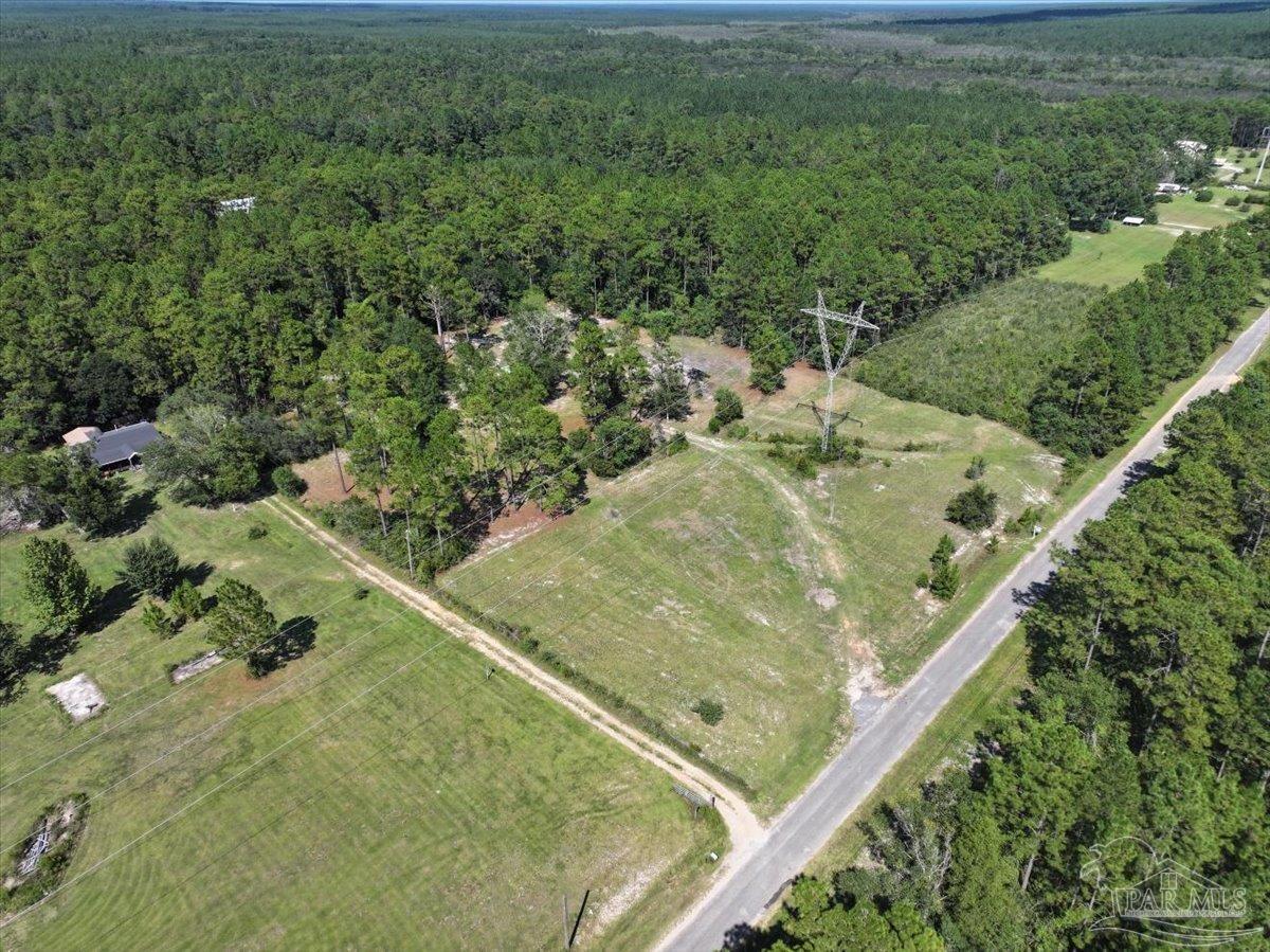 8330 Edith Avenue Milton, FL 32570 - Photo 14 of 19 a view of a lush green forest with lawn chairs