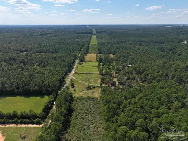 a view of a field with an ocean and trees in the background