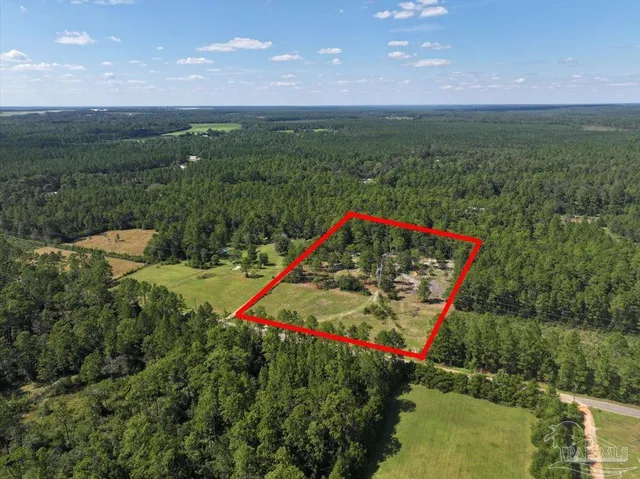 a view of a yard with a tree