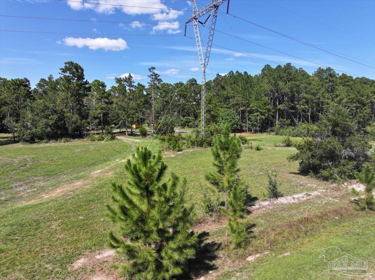 8330 Edith Avenue Milton, FL 32570 - Photo 6 of 19 a view of a yard with a tree