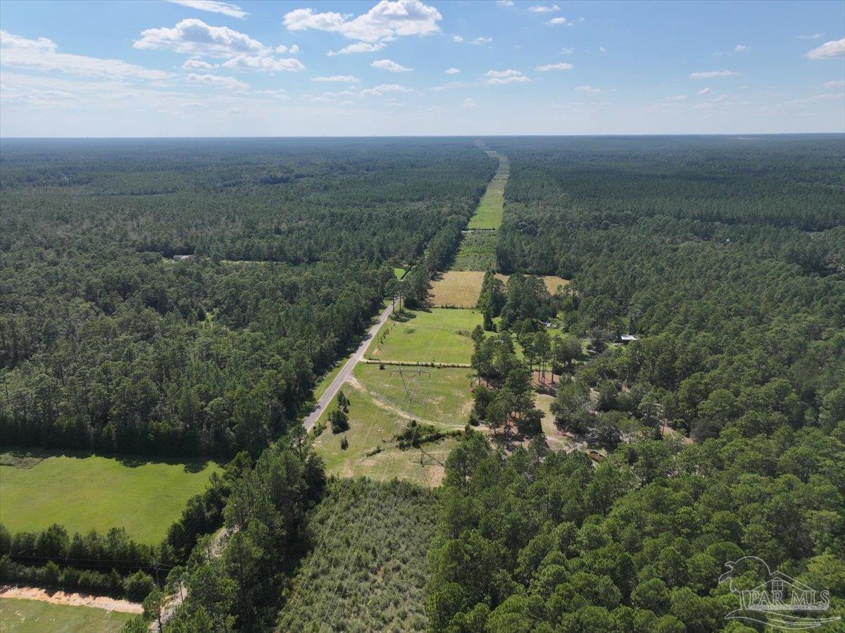 8330 Edith Avenue Milton, FL 32570 - Photo 9 of 19 a view of a yard and mountain view in back
