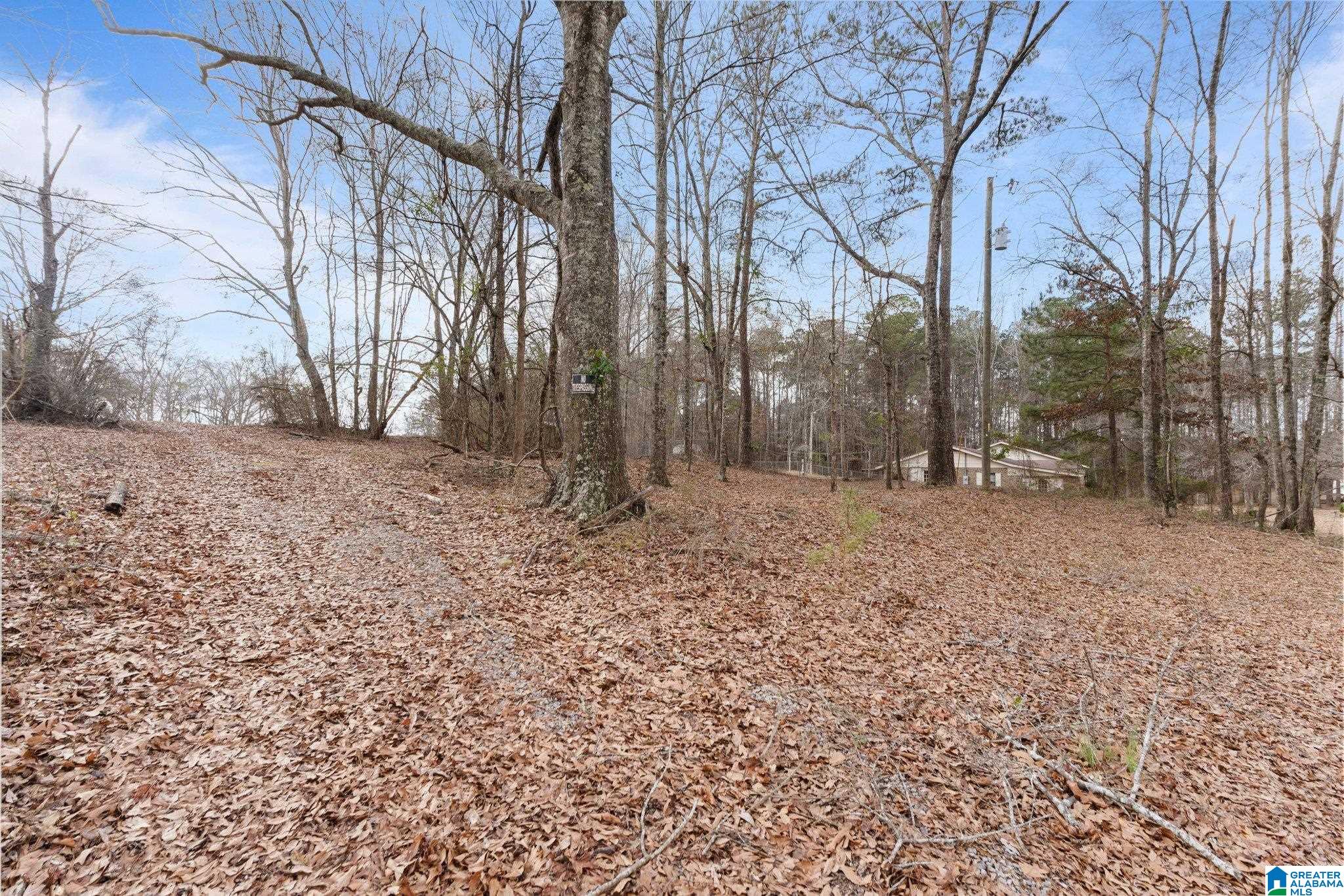3926 County Road 37 Clanton, AL 35045 - Photo 16 of 42