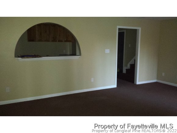 2341 Zacks Mill Road Angier, NC 27501 - Photo 25 of 25 a black and white photo of a living room