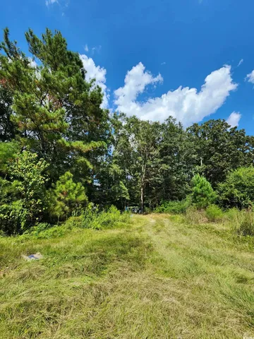 $125,000 | 239 Canis Lupus Lane, Aynor, SC 29511