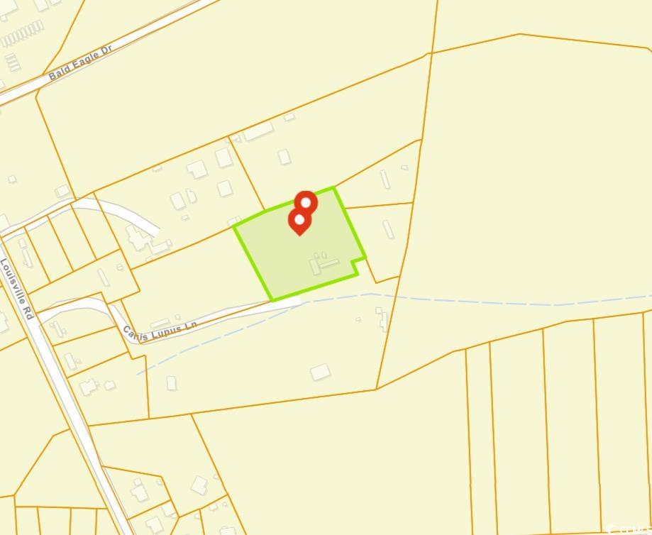 239 Canis Lupus Lane Aynor, SC 29511 - Photo 3 of 17