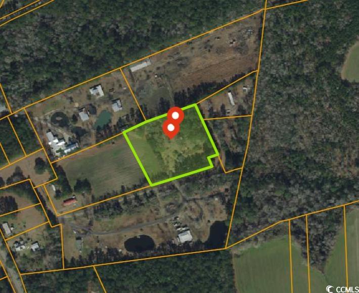 239 Canis Lupus Lane Aynor, SC 29511 - Photo 4 of 17