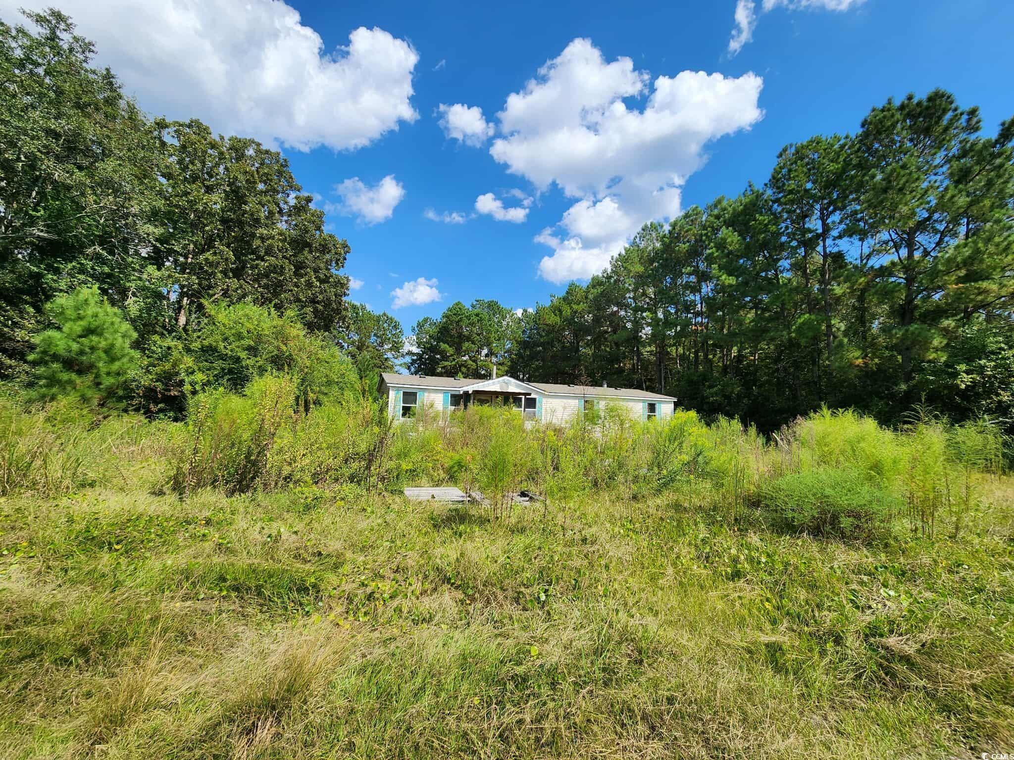 239 Canis Lupus Lane Aynor, SC 29511 - Photo 6 of 17