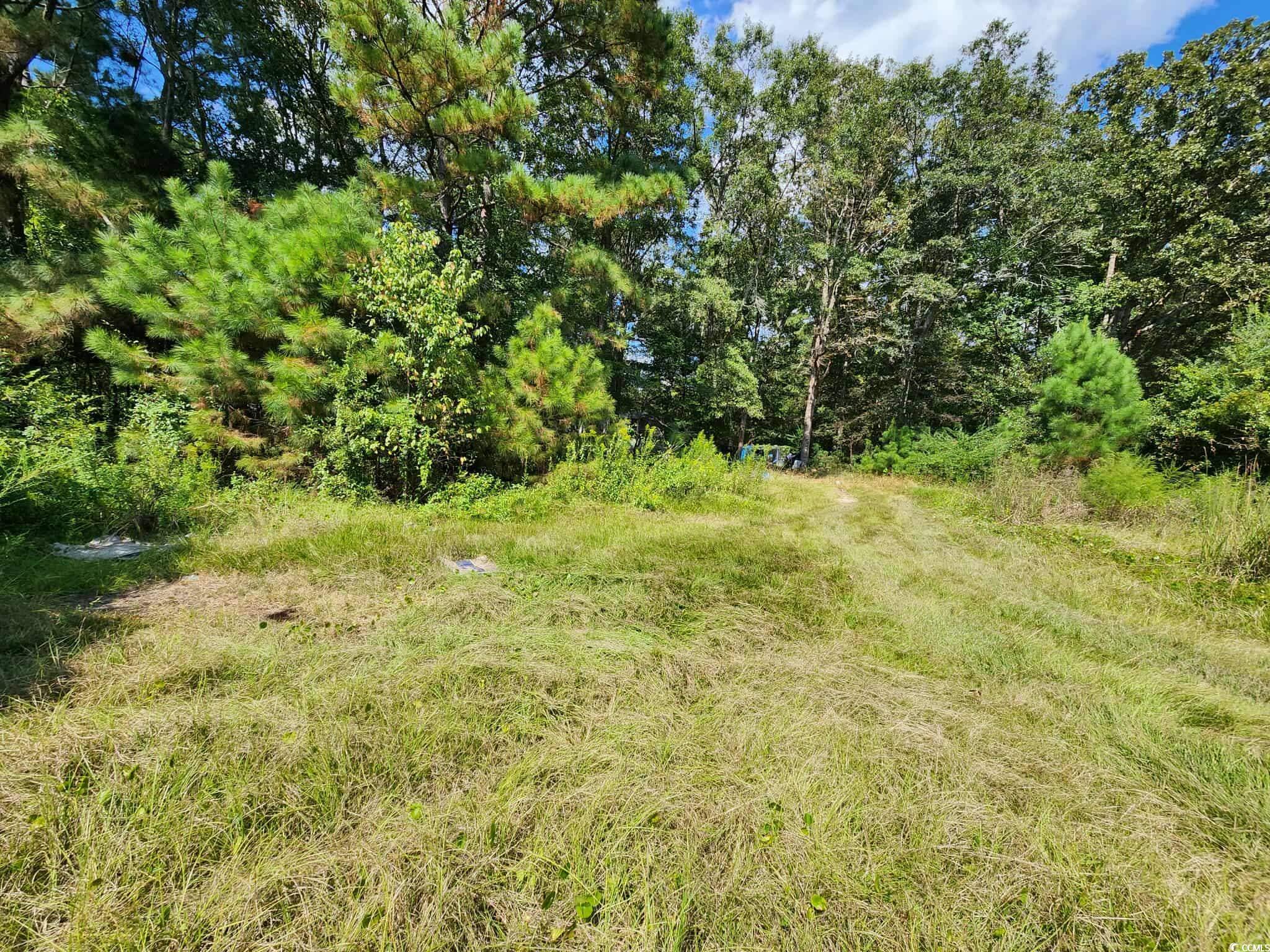 239 Canis Lupus Lane Aynor, SC 29511 - Photo 8 of 17