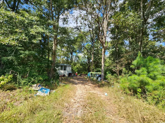 $125,000 | 239 Canis Lupus Lane, Aynor, SC 29511
