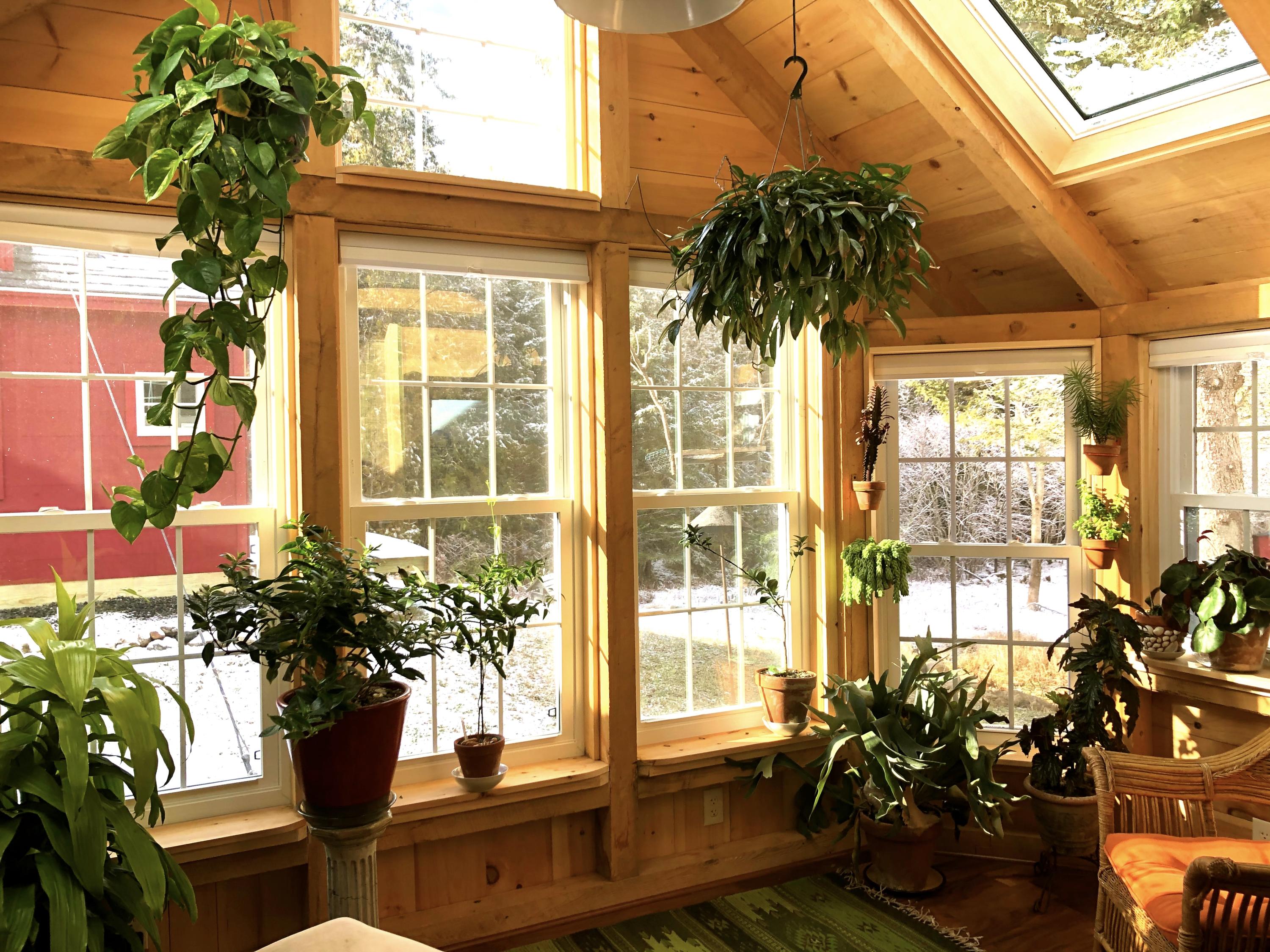 37 Cape Road Seal Cove, ME 04674 - Photo 9 of 30 8