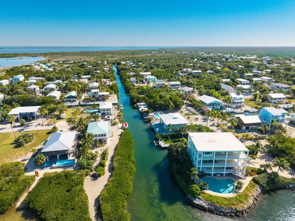 an aerial view of residential houses with outdoor space and swimming pool