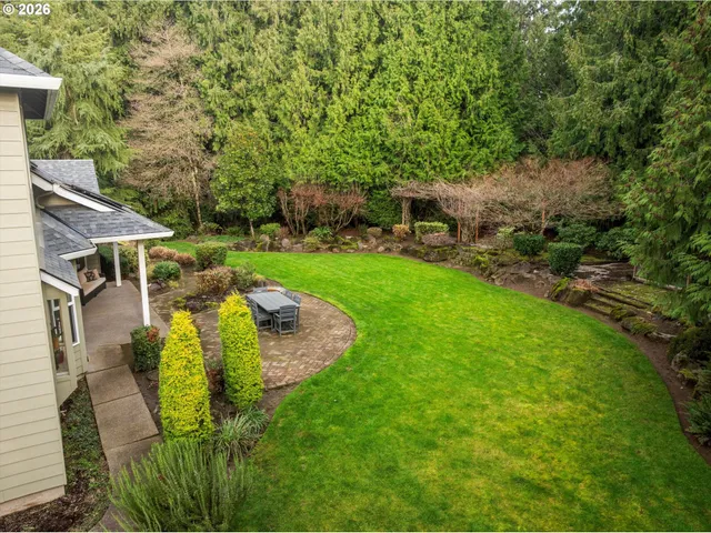 a view of a garden with plants and large trees