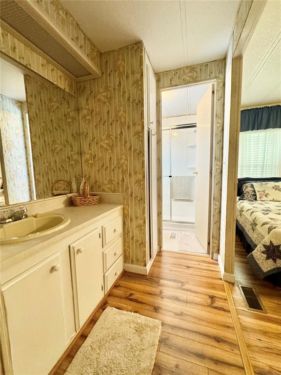 340 Peace Manor Palmetto, FL 34221 - Photo 29 of 38 a bathroom with a sink and a mirror