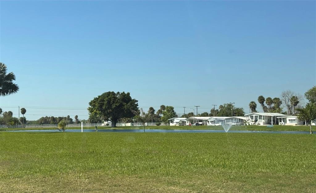 340 Peace Manor Palmetto, FL 34221 - Photo 36 of 38 a garden with trees in the background