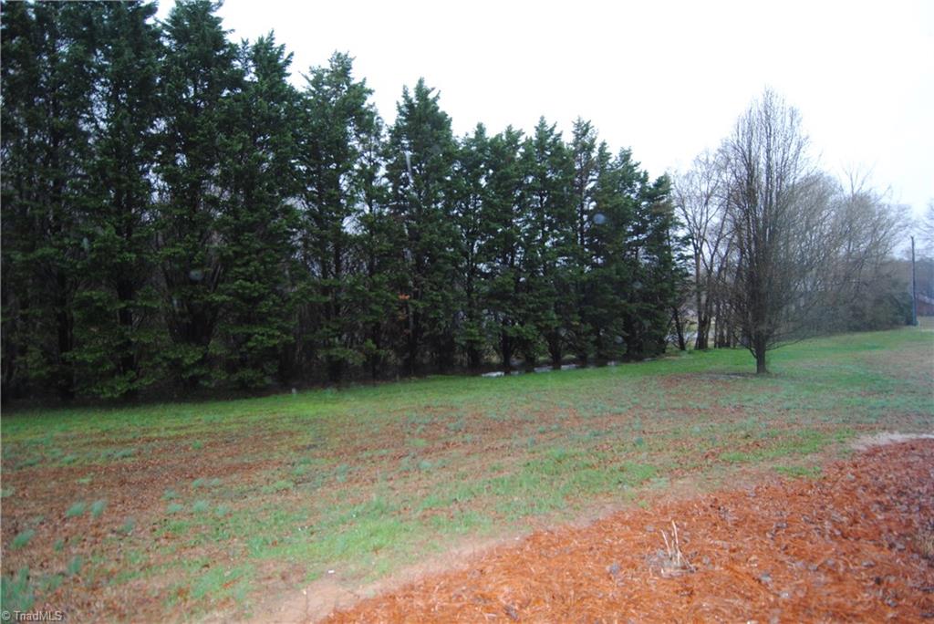 1285 Meadowlark Road Walnut Cove, NC 27052 - Photo 14 of 15 Gallery Image 14