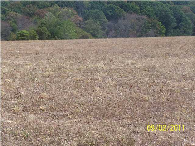5 Harvey Road Graysville, TN 37338 - Photo 5 of 7 Additional Photo