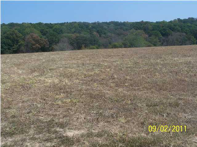 5 Harvey Road Graysville, TN 37338 - Photo 6 of 7 Additional Photo