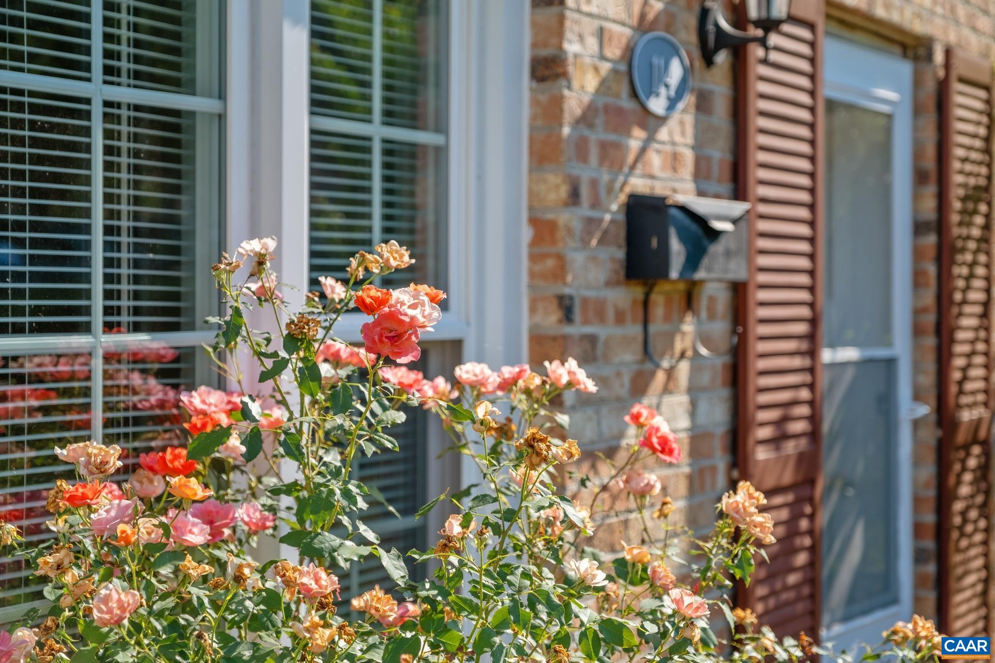 114 Georgetown Green Charlottesville, VA 22901 - Photo 6 of 44 a flower plants